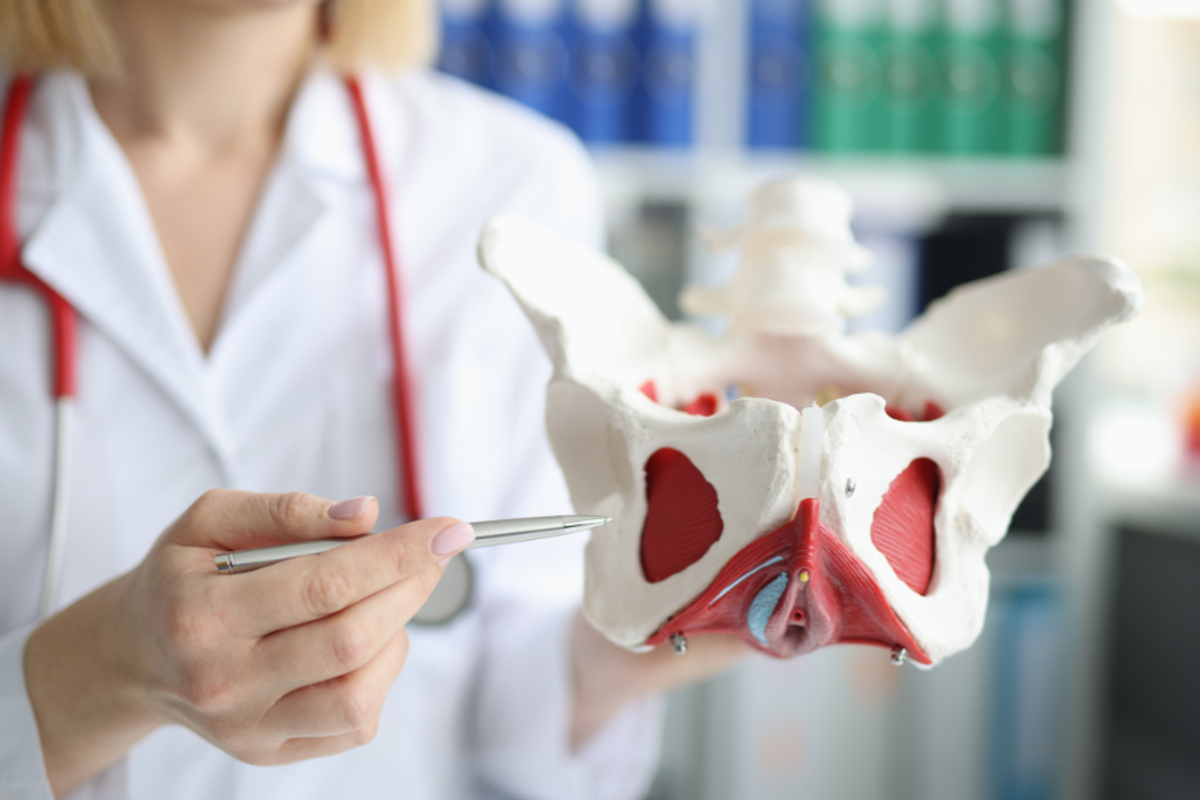 ISCARE, gynekologie, vyšetření inkontinence