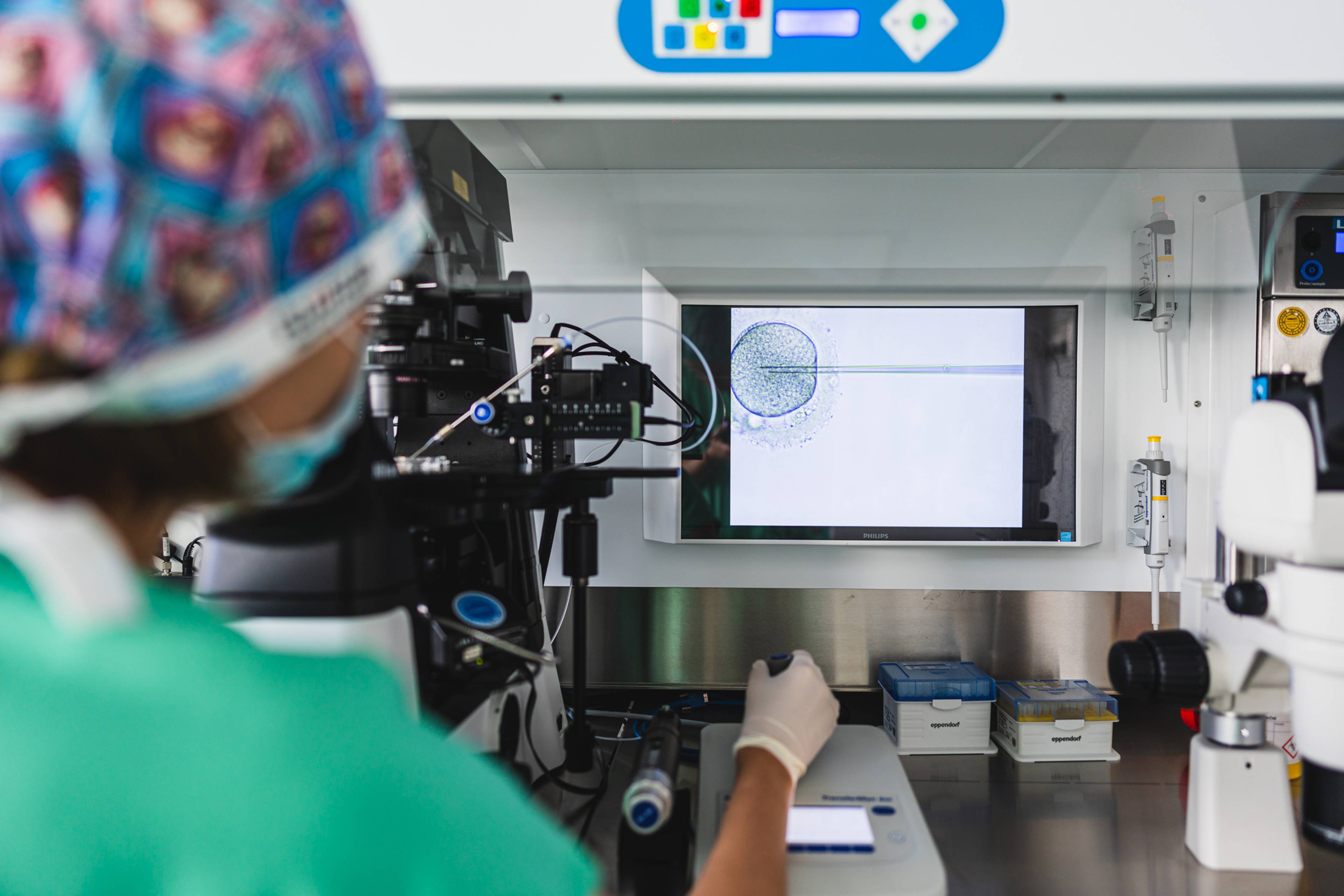 Experienced IVF team