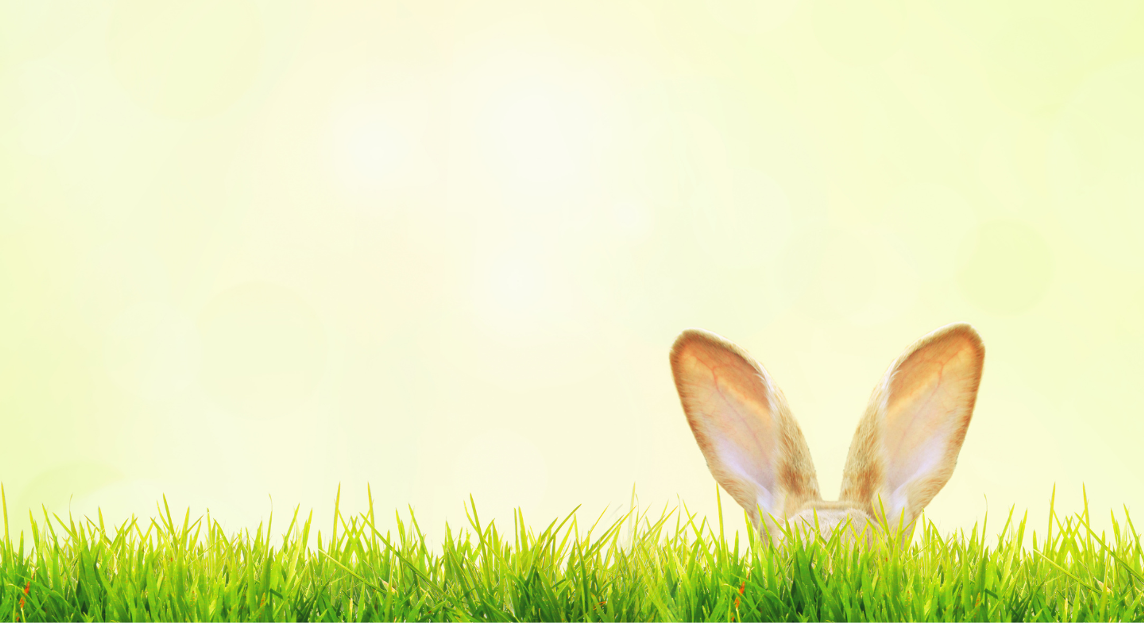 Otevírací a provozní doba kliniky ISCARE je o Velikonocích 2026 změněna. Přečtěte si více.